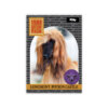 Heavy Trading Cards #04 - Longmont Potion Castle - Image 2
