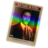 Heavy Trading Cards S3 #8 - Bayard Rustin - Image 2